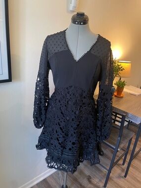 Ina Black Lace & Sheer Dot Long Sleeve Dress